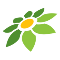 LING ML PNG